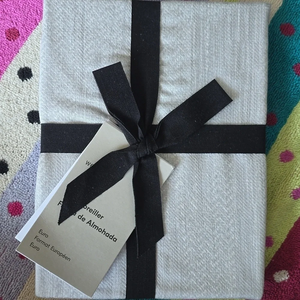 Silky TENCEL™ Striated Euro Sham, Frost Gray, Retail Price $$49.00US